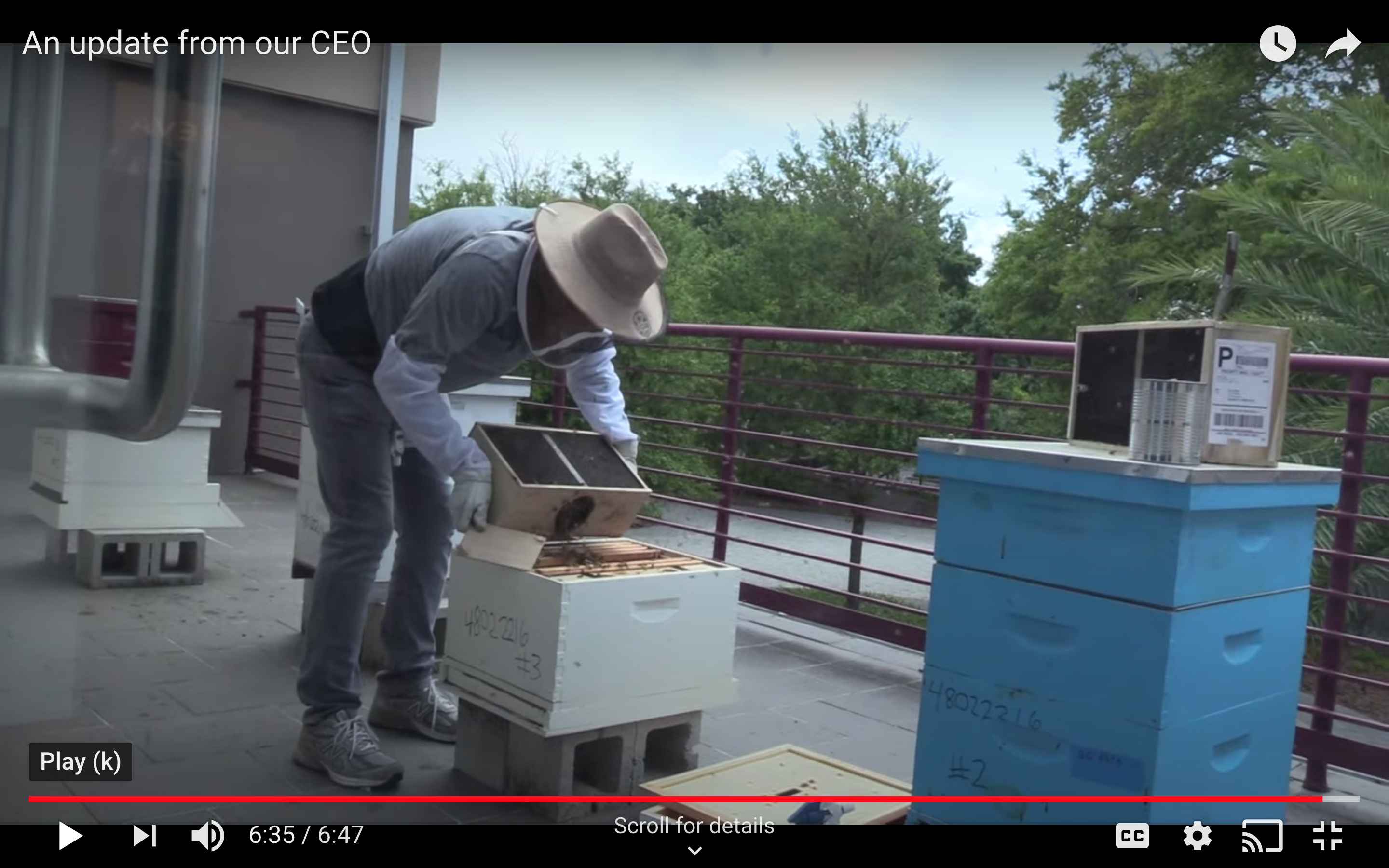 Achieva CEO Gary Regoli works on his apiary